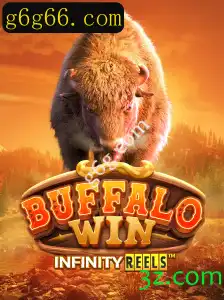 Descobrindo o Universo de BuffaloWin: Um Guia Completo